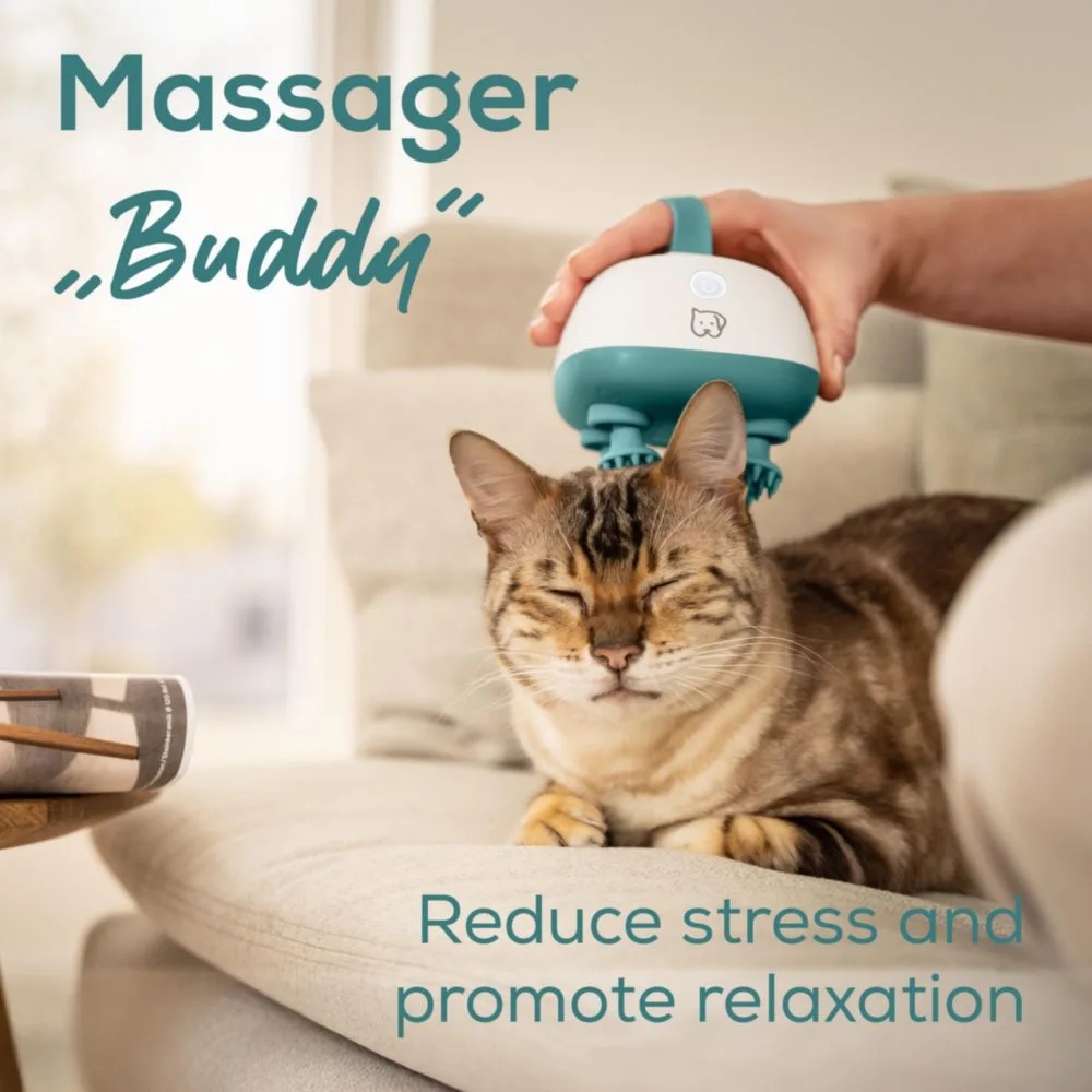 masazhor-beurer-pp-410-buddy-massager-gentle-knead-beurer-10524-beu