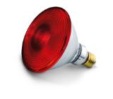 aksesoar-beurer-il-21-il-35-infrared-bulb-150-w-beurer-61651-beu
