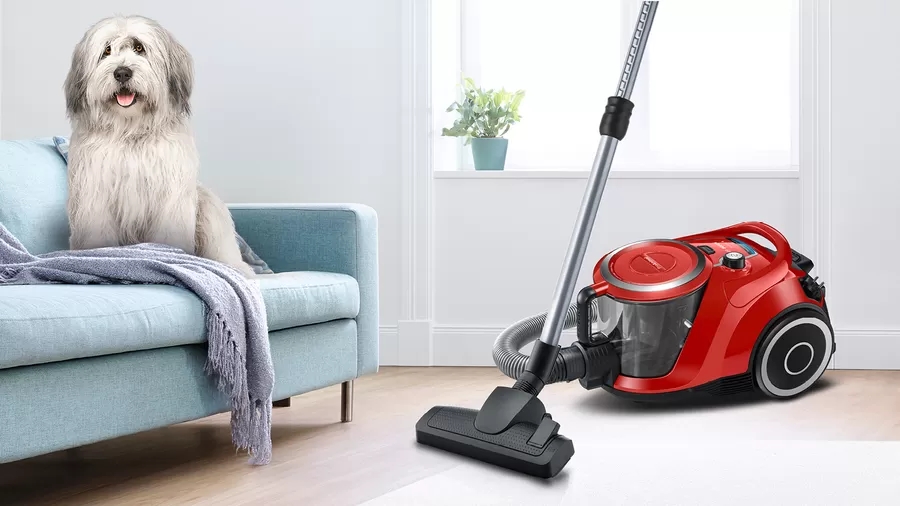 prahosmukachka-bosch-bgs41pet1-series-6-vacuum-cle-bosch-bgs41pet1