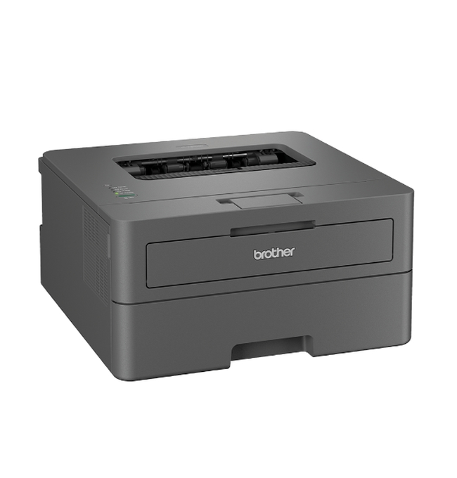 lazeren-printer-brother-hl-l2402d-laser-printer-brother-hll2402dyj1