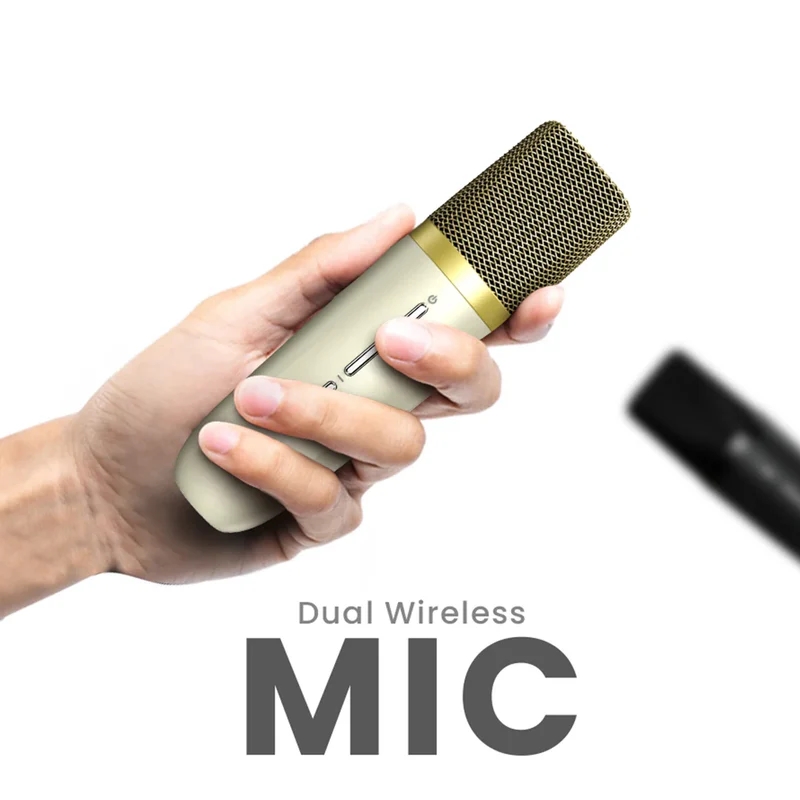 tonkoloni-hifuture-vocalist100-silver-20w-output-hifuture-6972576181749