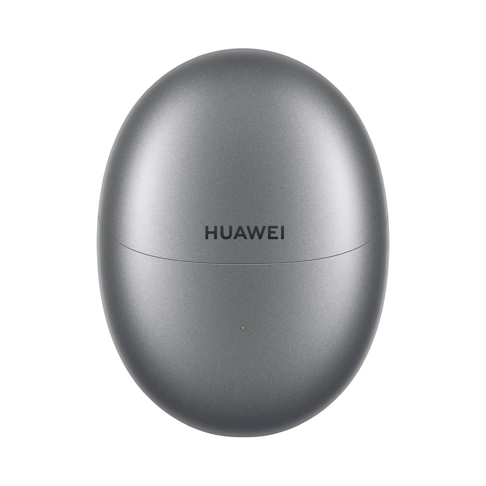 slushalki-huawei-freebuds-5-silver-forest-music-p-huawei-6941487277506
