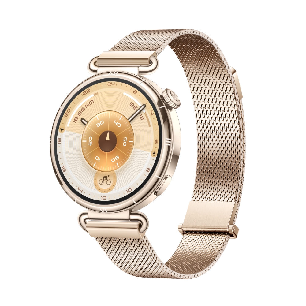 chasovnik-huawei-watch-gt6-konsu-b19m-millanese-huawei-6942103168239-69421031401