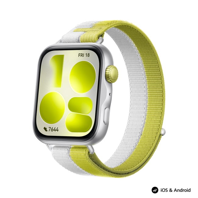 chasovnik-huawei-watch-fit-5-niki-b19w-silver-hua-huawei-6942103189722-69421031654