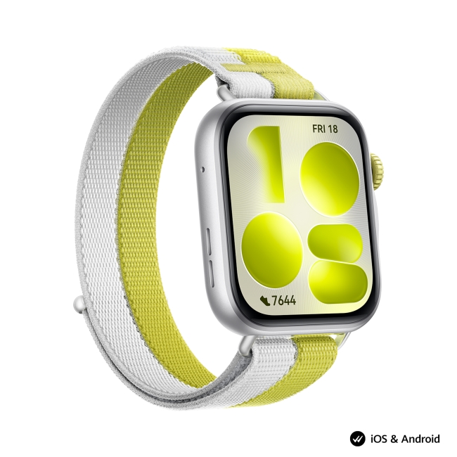 chasovnik-huawei-watch-fit-5-niki-b19w-silver-hua-huawei-6942103189722-69421031654