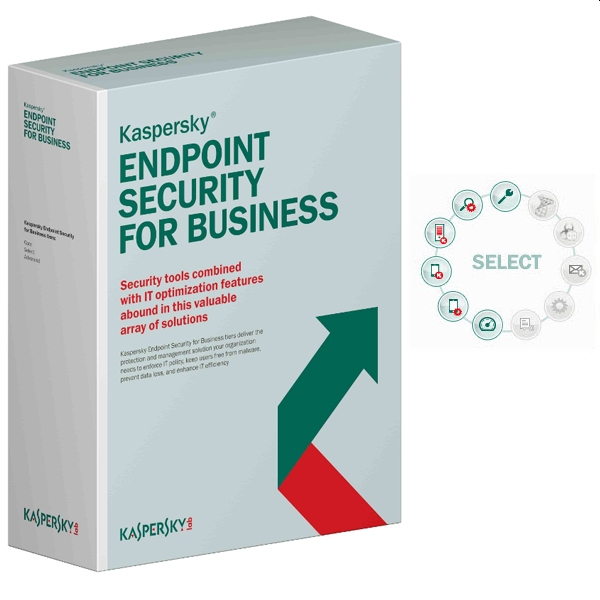 litsenz-za-polzvane-na-programen-produkt-kaspersky-kaspersky-kl4863oapfs