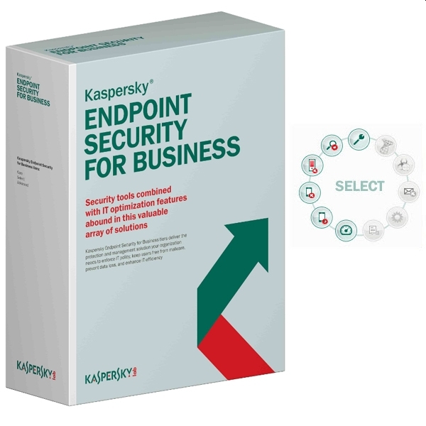 litsenz-za-polzvane-na-programen-produkt-kaspersky-kaspersky-kl4867oapfs