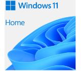 programen-produkt-microsoft-windows-home-11-64-bit-microsoft-haj-00090