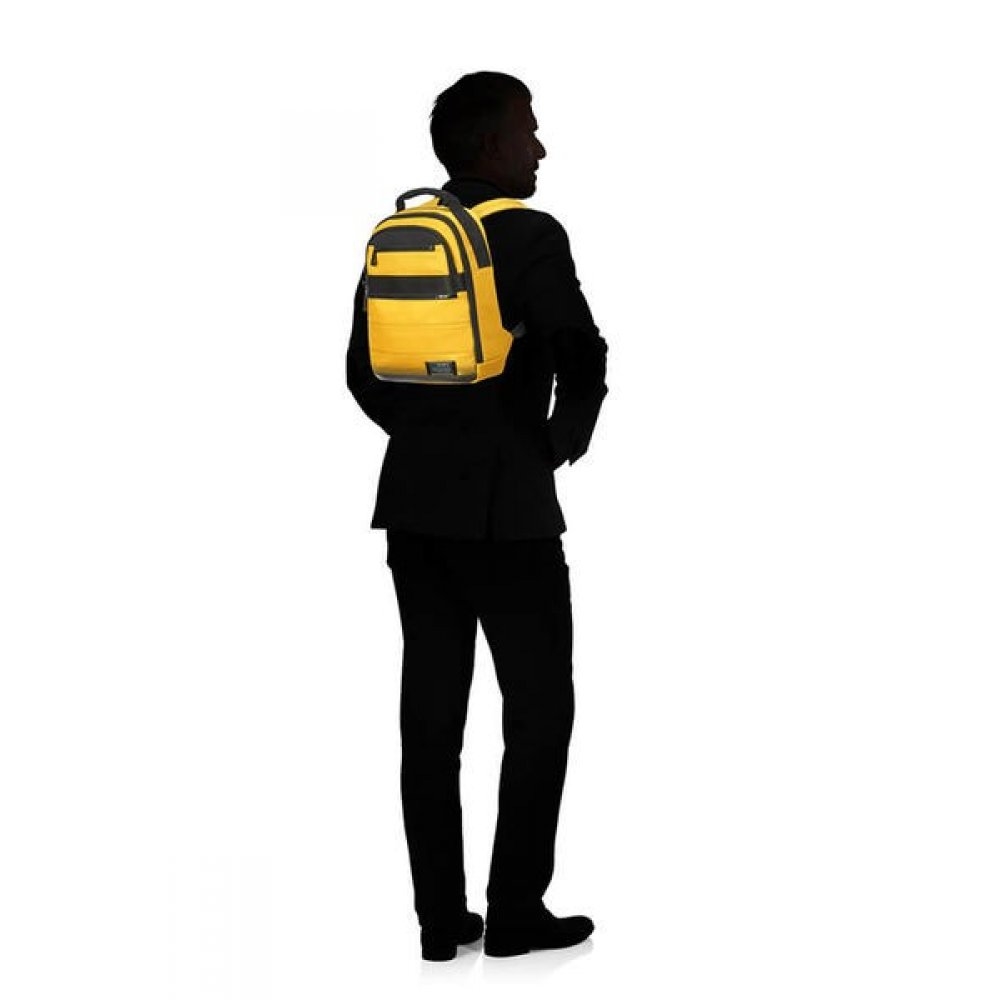 ranitsa-samsonite-cityvibe-20-laptop-backpack-133-samsonite-cm7-06-008