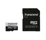 Pamet-Transcend-256GB-micro-SD-w-adapter-U3-High-TRANSCEND-TS256GUSD350V